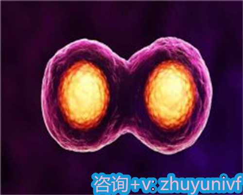 北京正规妈妈代孕公司,试管二代比一代试管受精率高吗