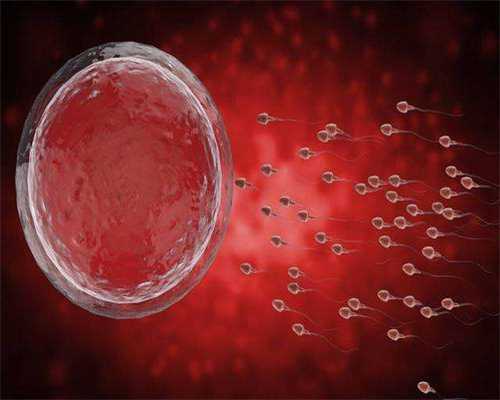 54岁没有月经青岛借卵子生子,私人医院试管可不可以选男孩