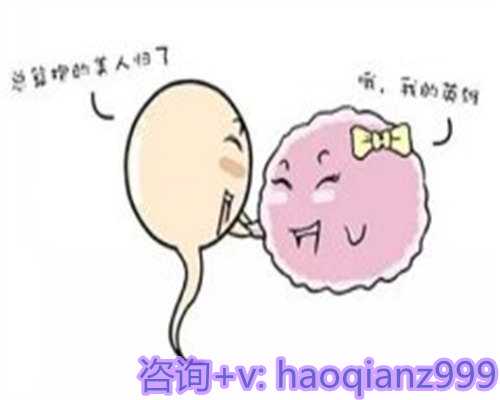 <strong>大龄试管，做试管婴儿成功率多高高龄女性做试管成功率多少？教你5步预测自</strong>