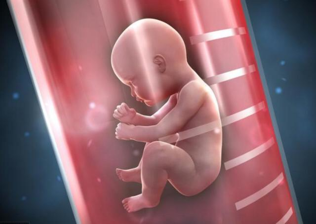 北京那个医院能做供卵试管机构让您实现生育的梦想和愿望