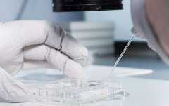 代生孩子,沈阳代孕最低价格