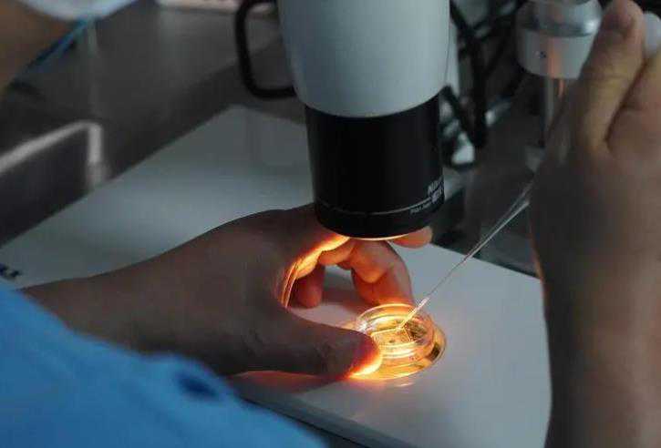 国内公立医院供卵试管婴儿费用一览表！供卵生男孩费用明细！