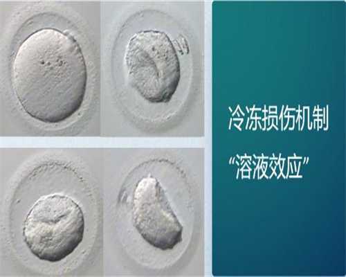 北京有供卵医院吗为不孕不育夫妇开启新的门径