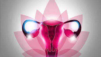 昆明助孕机构,为您的家庭提供最优秀的服务和建议